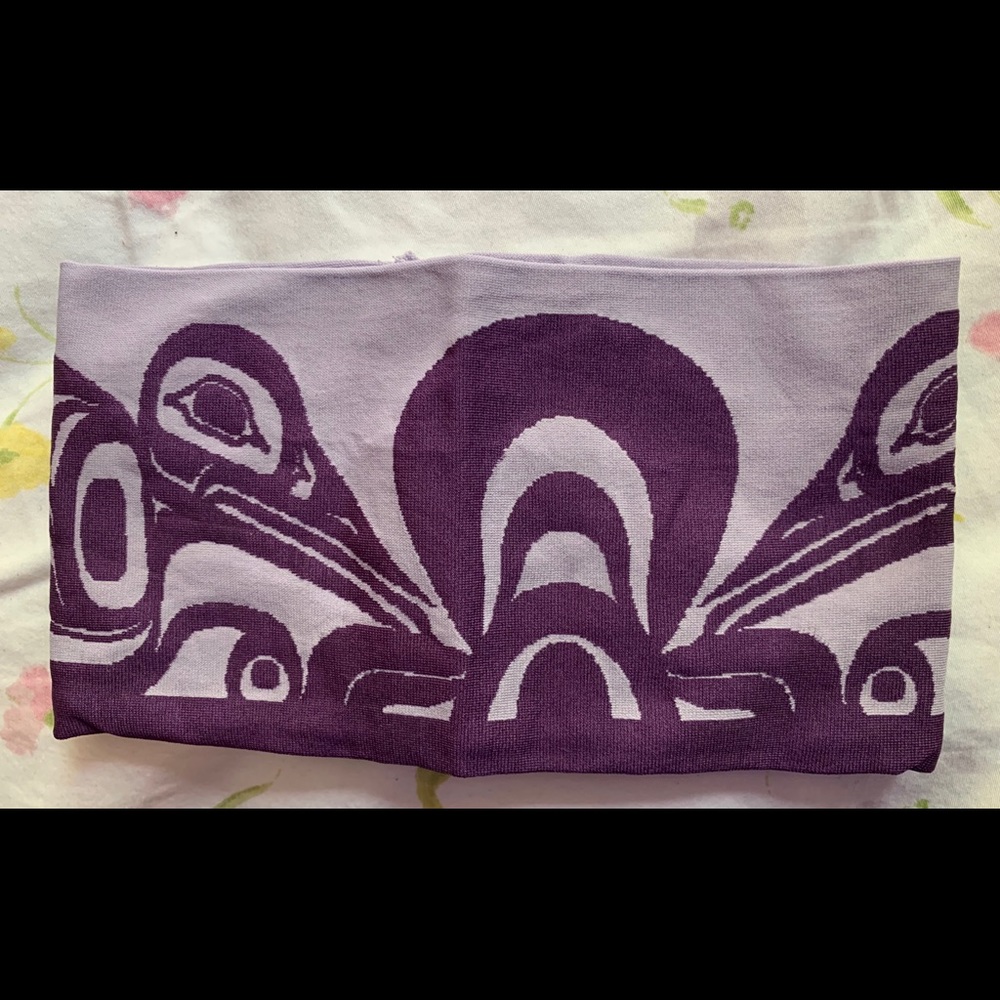Native Northwest Art Headband